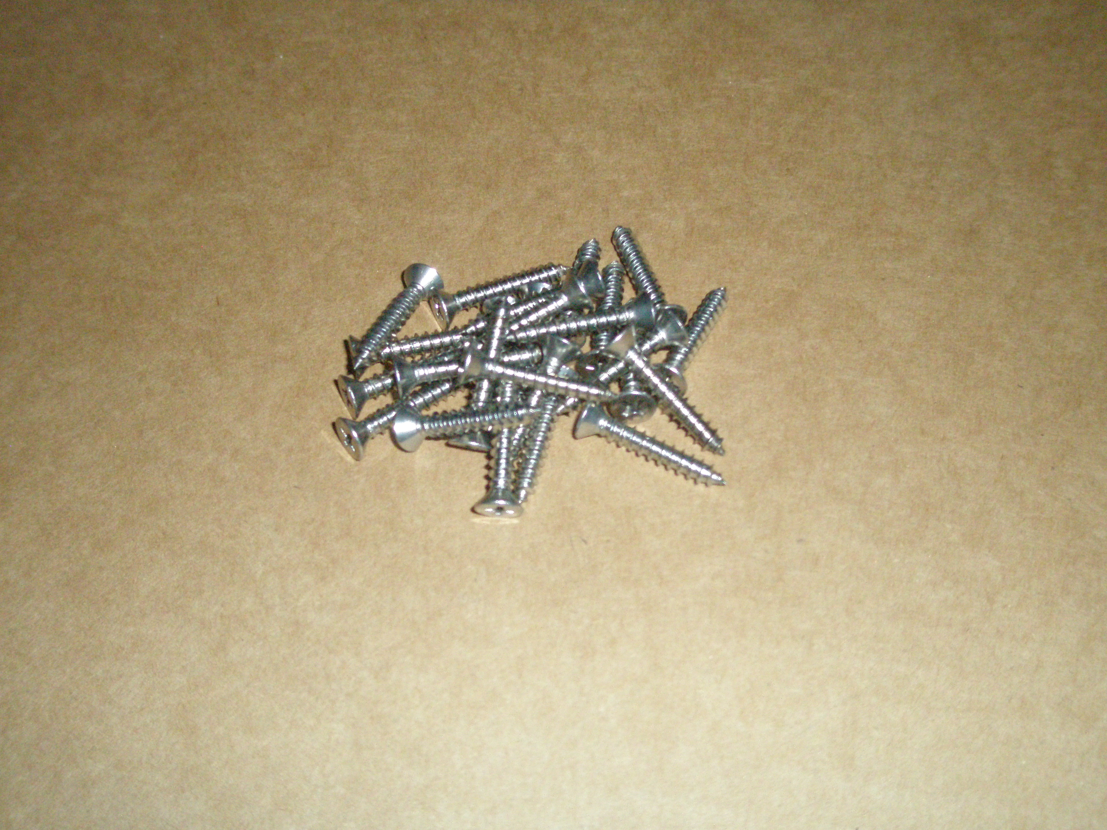 SS SCREW FOR SPEE-D & PRO - Channel Drain